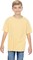 Comfort Colors® Garment Dyed Youth Heavyweight Crewneck Short Sleeve T-Shirt